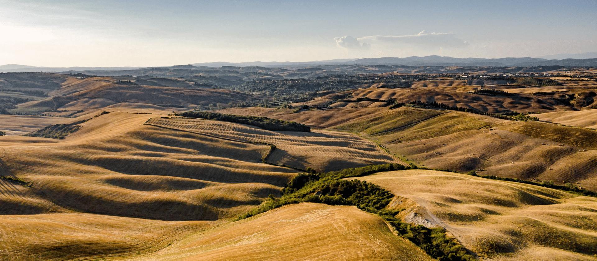 Agriturismo Podere bellaria-Azienda Agricola Biologica-Asciano (SI), Tuscany, Italy