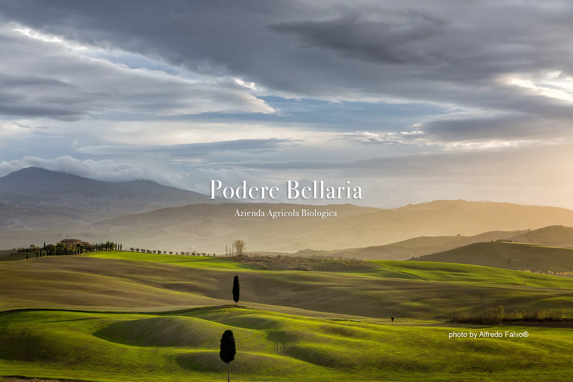 Podere Bellaria, Azienda Agricola Biologica-Asciano (SI) Tuscany, ITALY. Photo-by-Alfredo Falvo Photographer